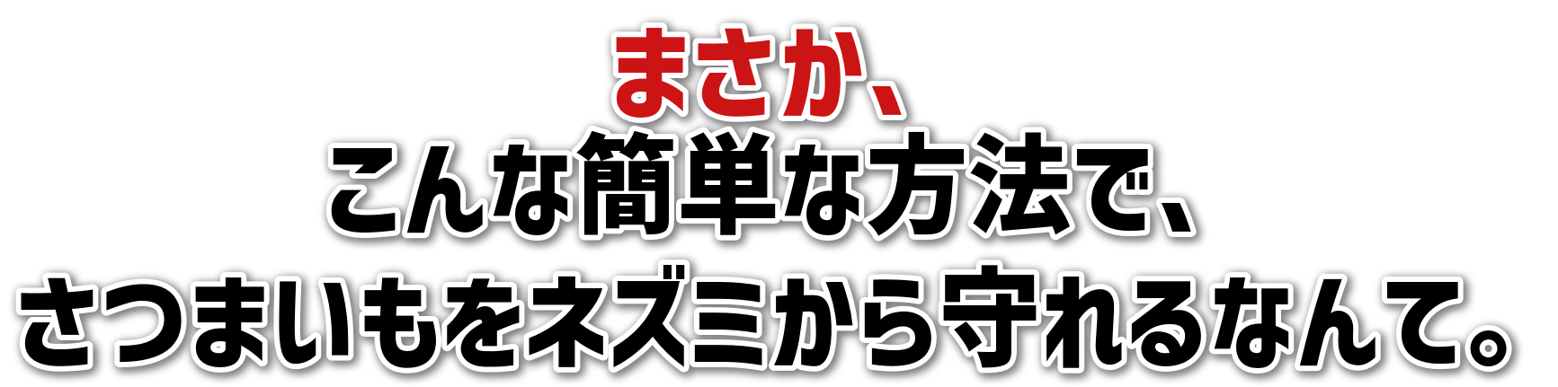 まさか、<br>こんな簡単な方法で、<br>さつまいもをネズミから守れるなんて。