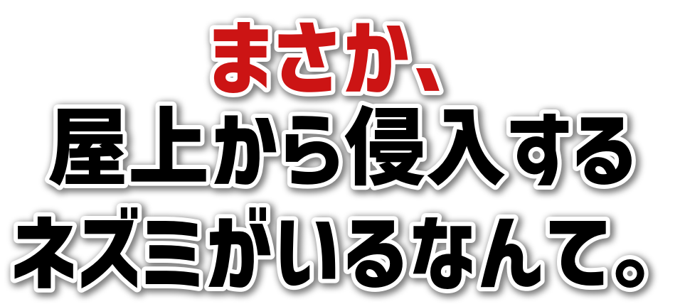 まさか、<br>屋上から侵入する<br>ネズミがいるなんて。